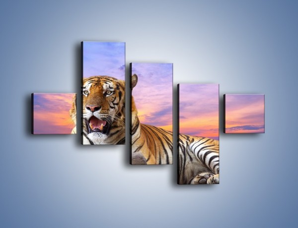 Obraz na płótnie – Tygrys o zachodzie słońca – pięcioczęściowy Z246W3