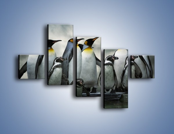 Obraz na płótnie – Pingwinki z madagaskaru – pięcioczęściowy Z247W3