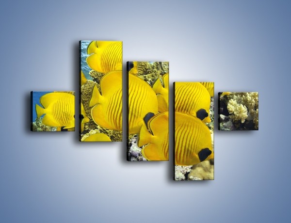 Obraz na płótnie – Słoneczne ryby w oceanie – pięcioczęściowy Z252W3