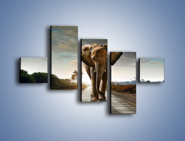 Obraz na płótnie – Słoń w poszukiwaniu rodziny – pięcioczęściowy Z256W3