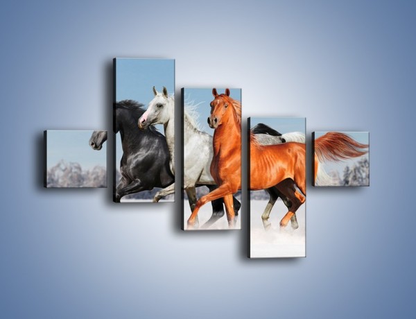 Obraz na płótnie – Konie w kolorach – pięcioczęściowy Z261W3