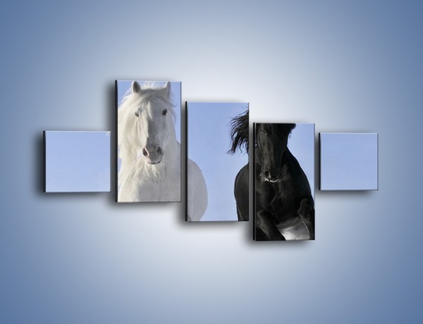 Obraz na płótnie – Czarno-biały wyścig konny – pięcioczęściowy Z263W3