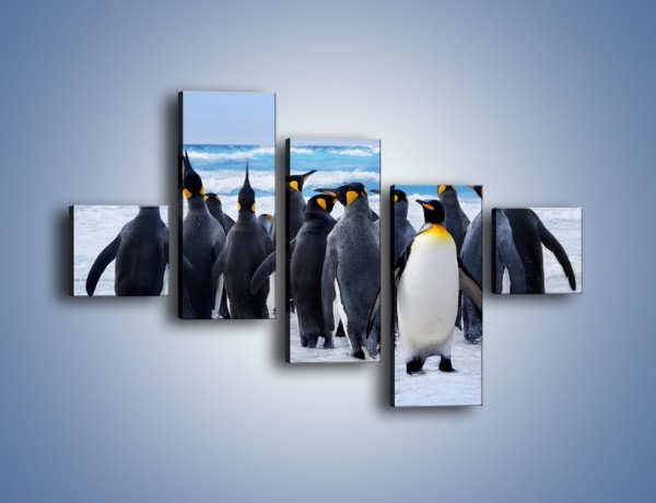 Obraz na płótnie – Narada pingwiniej rodziny – pięcioczęściowy Z272W3