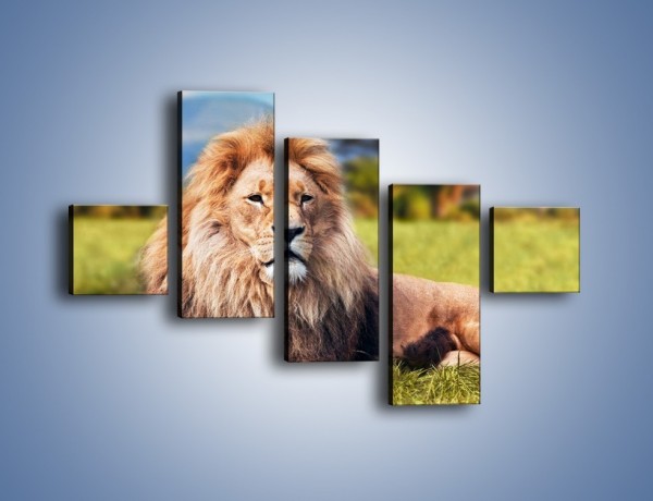 Obraz na płótnie – Dostojny lew na sawannie – pięcioczęściowy Z282W3