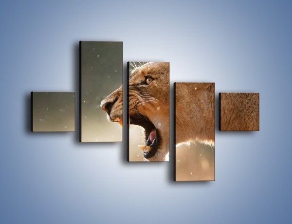 Obraz na płótnie – Ostrzeżenie lwiej samicy – pięcioczęściowy Z299W3