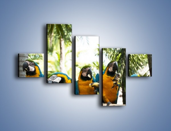 Obraz na płótnie – Piknik z papugami – pięcioczęściowy Z322W3
