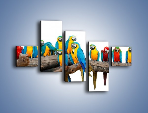 Obraz na płótnie – Kolorowe stado papug – pięcioczęściowy Z326W3