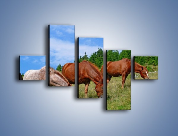 Obraz na płótnie – Spokój las i konie – pięcioczęściowy Z330W3