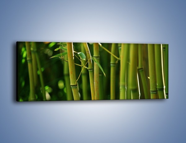Obraz na płótnie – Bambusowe łodygi z bliska – jednoczęściowy panoramiczny KN118