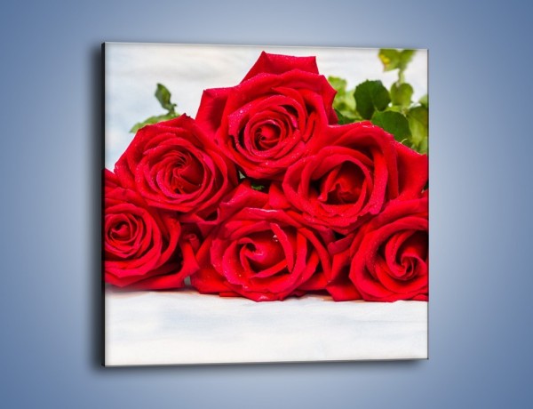 Obraz na płótnie – Czerwone róże bez kolców – jednoczęściowy kwadratowy K1021