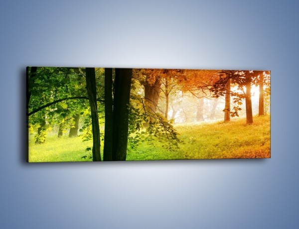 Obraz na płótnie – Trochę wiosny i jesieni – jednoczęściowy panoramiczny KN1181A