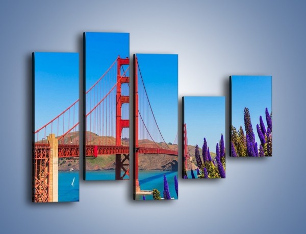 Obraz na płótnie – Golden Gate pod błękitnym niebem – pięcioczęściowy AM644W4