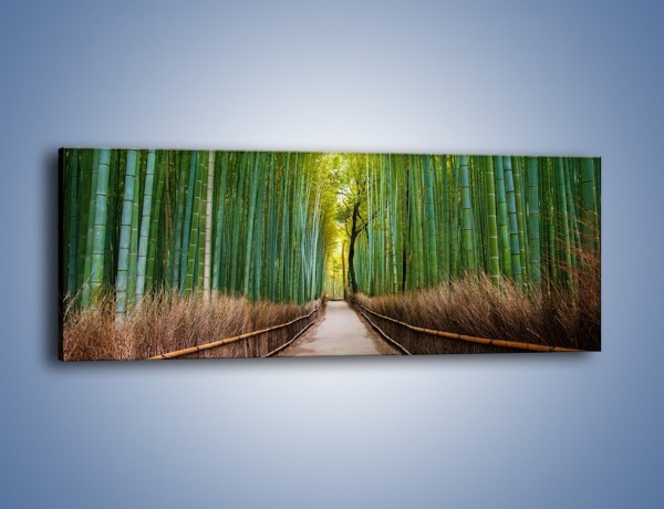 Obraz na płótnie – Bambusowy las – jednoczęściowy panoramiczny KN1187A
