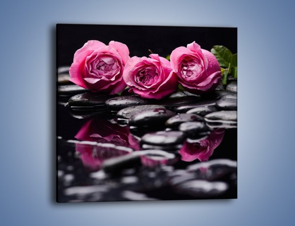 Obraz na płótnie – Malutkie różane trio – jednoczęściowy kwadratowy K1027