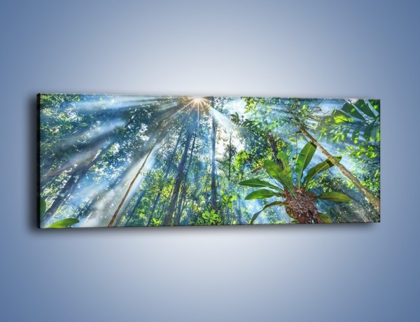 Obraz na płótnie – Dyzio marzyciel i drzewa – jednoczęściowy panoramiczny KN1189A