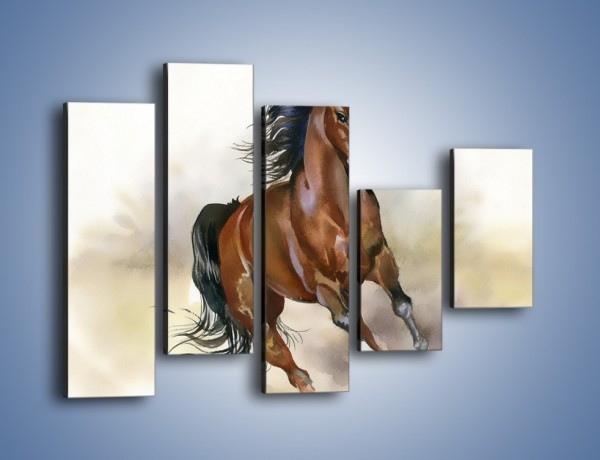 Obraz na płótnie – Piękny koń w galopie – pięcioczęściowy GR338W4