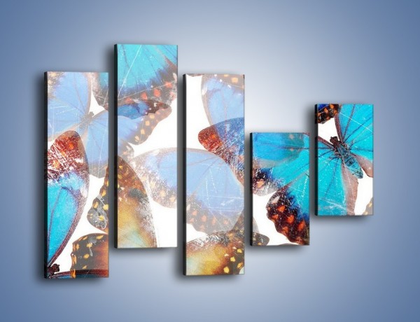 Obraz na płótnie – Motyl w niebieskim kolorze – pięcioczęściowy GR403W4