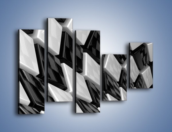 Obraz na płótnie – Czarne czy białe – pięcioczęściowy GR425W4