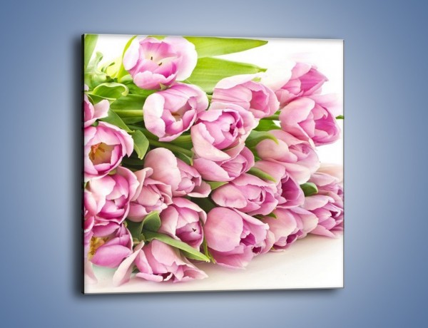Obraz na płótnie – Ścięte tulipany w bieli – jednoczęściowy kwadratowy K110