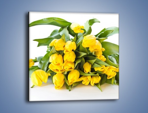 Obraz na płótnie – Piramida żółtych tulipanów – jednoczęściowy kwadratowy K111