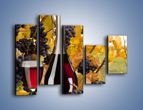 Obraz na płótnie – Wino wśród winogron – pięcioczęściowy JN007W4