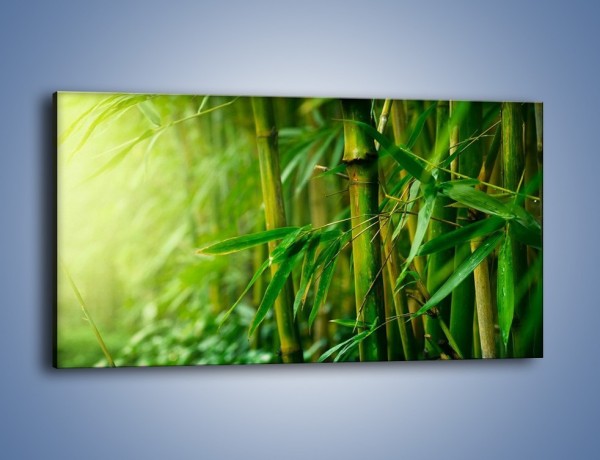 Obraz na płótnie – Bambus w roli głównej – jednoczęściowy panoramiczny KN1202A