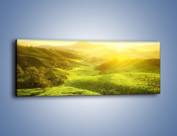 Obraz na płótnie – Zieleń w dolinie – jednoczęściowy panoramiczny KN1204A