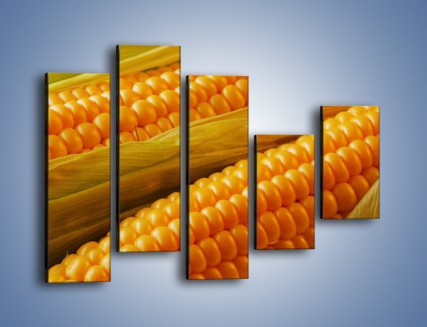 Obraz na płótnie – Kolby dojrzałych kukurydz – pięcioczęściowy JN046W4