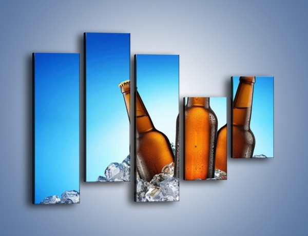 Obraz na płótnie – Szron na butelkach piwa – pięcioczęściowy JN075W4