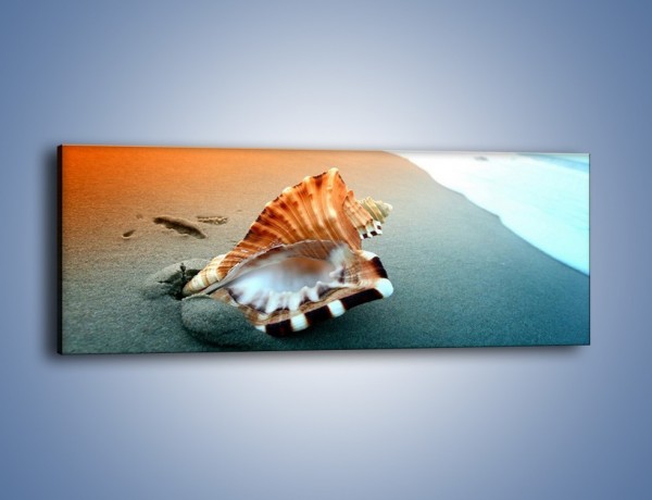 Obraz na płótnie – Szum morza w muszli – jednoczęściowy panoramiczny KN1217A