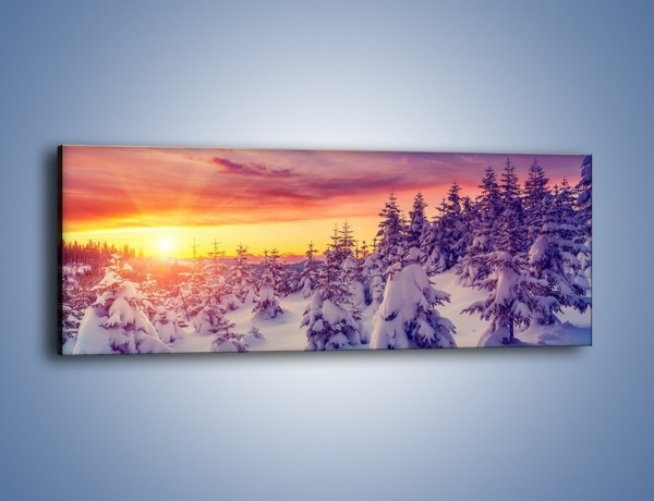 Obraz na płótnie – Choinki w śnieżnej szacie – jednoczęściowy panoramiczny KN1220A