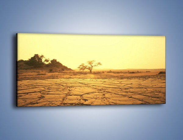 Obraz na płótnie – Ziemia zorana słońcem – jednoczęściowy panoramiczny KN1221A