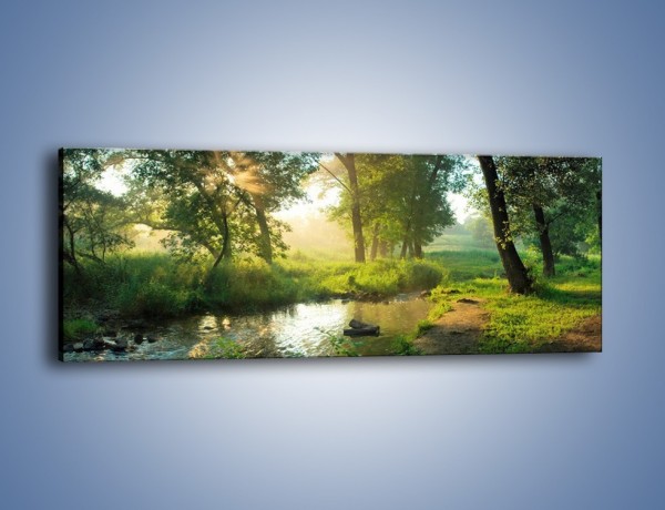 Obraz na płótnie – Mokradła w pięknej zieleni – jednoczęściowy panoramiczny KN1224A