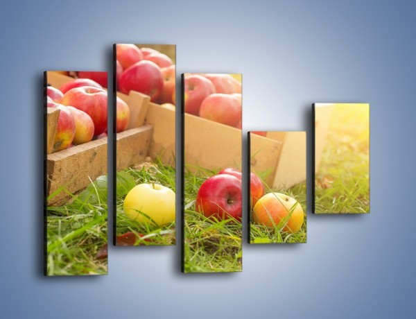 Obraz na płótnie – Jabłka skąpane w trawie – pięcioczęściowy JN628W4