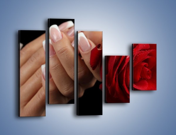 Obraz na płótnie – Kwiat róży w kobiecych dłoniach – pięcioczęściowy K006W4