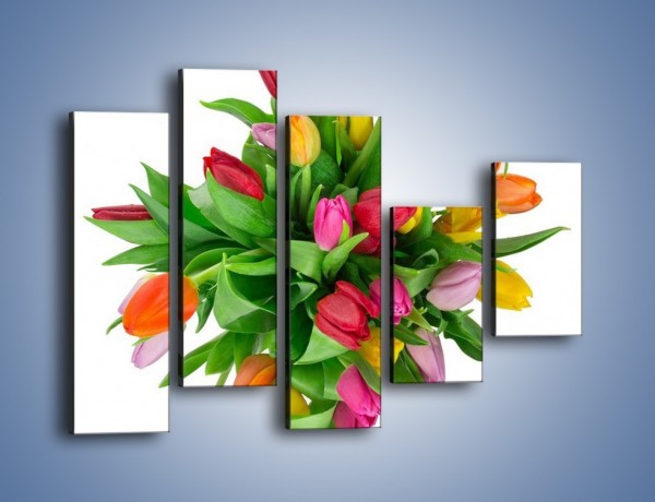 Obraz na płótnie – Wiązanka kolorowych tulipanów – pięcioczęściowy K019W4