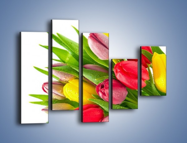 Obraz na płótnie – Kropelki wody na kolorowych tulipanach – pięcioczęściowy K049W4