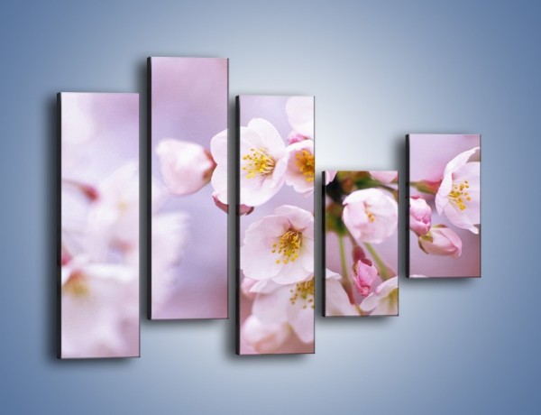 Obraz na płótnie – Gałązka kwiatów jabłoni – pięcioczęściowy K102W4