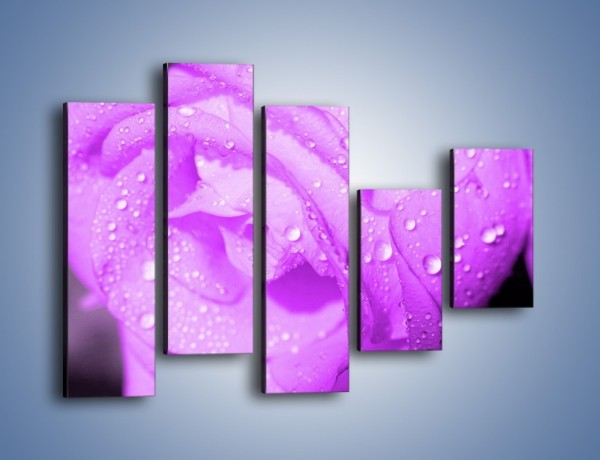 Obraz na płótnie – Jasno fioletowe skropione płatki – pięcioczęściowy K1020W4