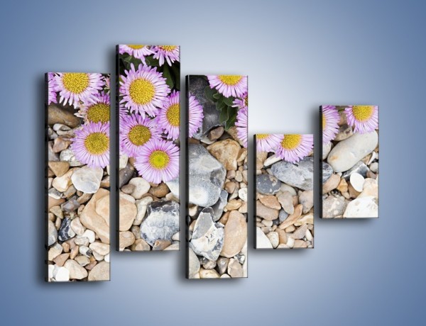 Obraz na płótnie – Kolorowe kamienie czy małe kwiatuszki – pięcioczęściowy K146W4