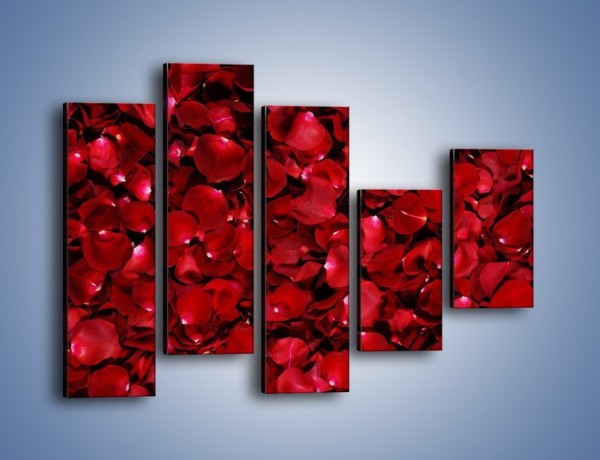 Obraz na płótnie – Dywan usłany płatkami róż – pięcioczęściowy K175W4