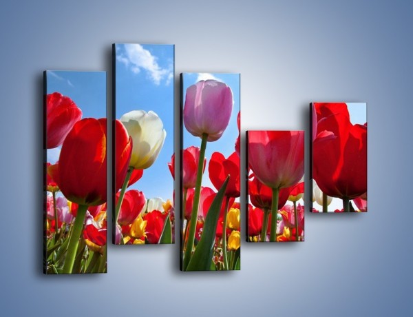 Obraz na płótnie – Kolorowy zawrót głowy z tulipanami – pięcioczęściowy K221W4