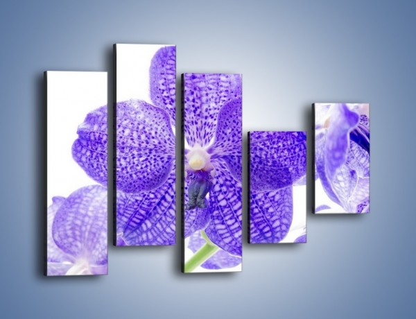 Obraz na płótnie – Jasny fiolet rządzi w kwiatach – pięcioczęściowy K259W4