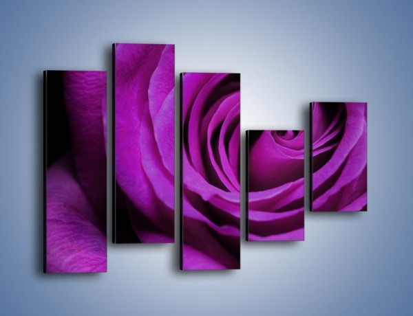 Obraz na płótnie – Tajemniczy różany fiolet – pięcioczęściowy K313W4