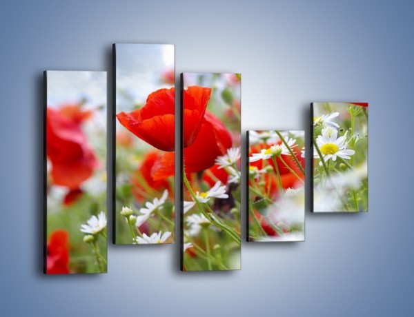 Obraz na płótnie – Polana pełna kwiatów – pięcioczęściowy K371W4
