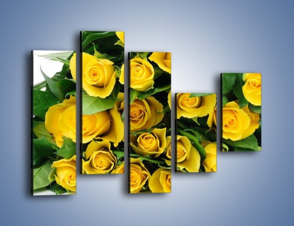 Obraz na płótnie – Wiosenny uśmiech w różach – pięcioczęściowy K379W4