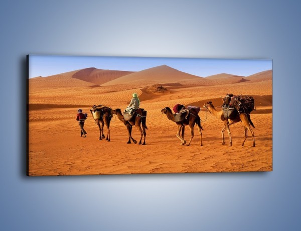 Obraz na płótnie – Idą wielbłądy przez pustynię – jednoczęściowy panoramiczny KN1237A