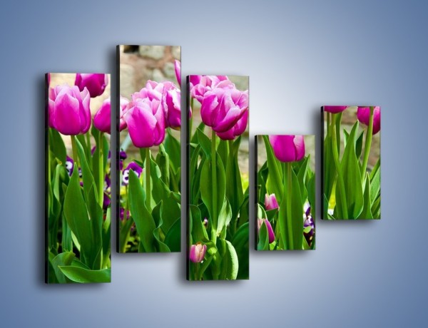 Obraz na płótnie – Tulipany w domowym ogródku – pięcioczęściowy K409W4