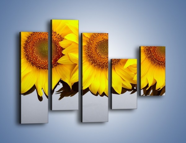 Obraz na płótnie – Najpiękniejsza odsłona słoneczników – pięcioczęściowy K416W4