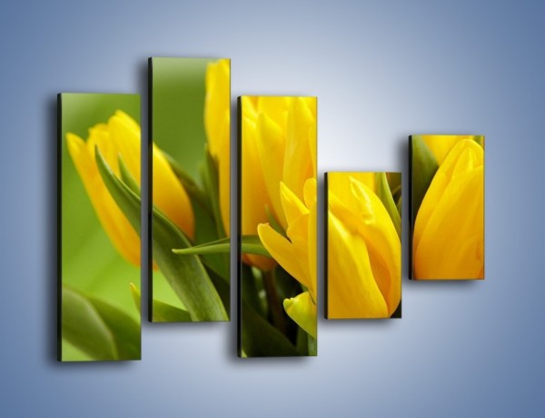 Obraz na płótnie – Słońce schowane w tulipanach – pięcioczęściowy K424W4